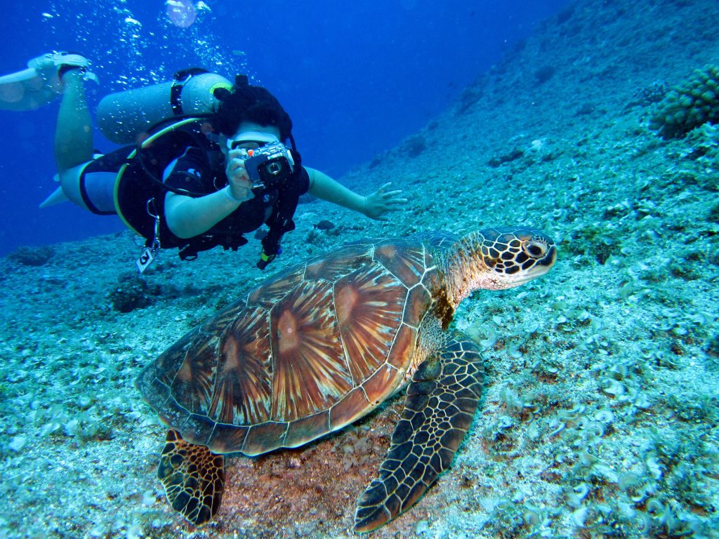 Marine Biologist Job Description Duties Info 2024 