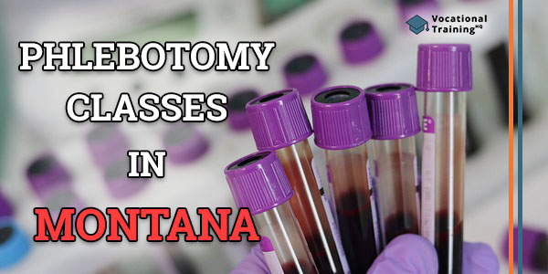 Phlebotomy Classes in Montana