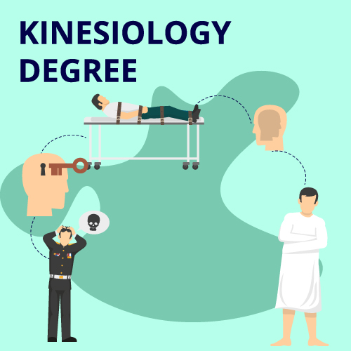 What Can You Do With A Kinesiology Degree? (2024)