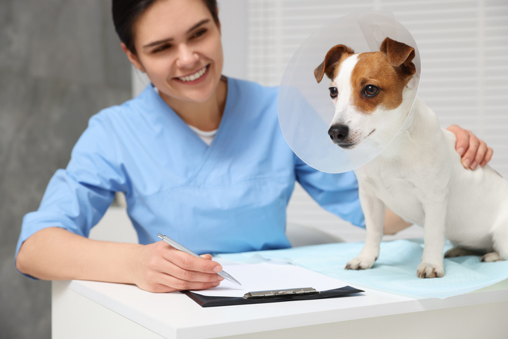 Veterinary Office Manager