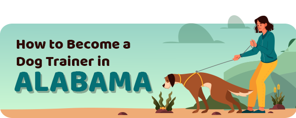 How to Become a Dog Trainer in Alabama