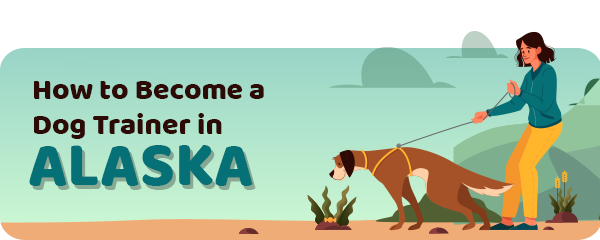 How to Become a Dog Trainer in Alaska