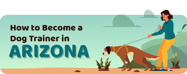 How to Become a Dog Trainer in Arizona