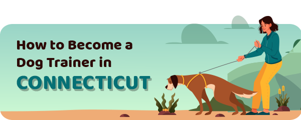 How to Become a Dog Trainer in Connecticut