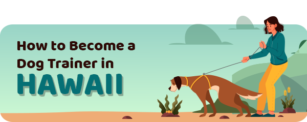 How to Become a Dog Trainer in Hawaii