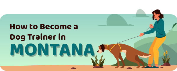 How to Become a Dog Trainer in Montana