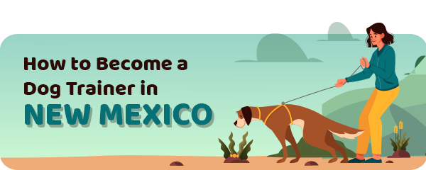 How to Become a Dog Trainer in New Mexico