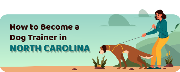 How to Become a Dog Trainer in North Carolina