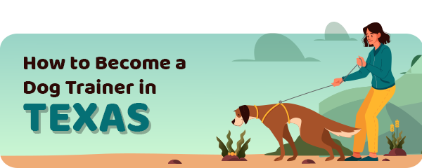 How to Become a Dog Trainer in Texas