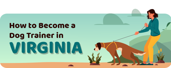 How to Become a Dog Trainer in Virginia