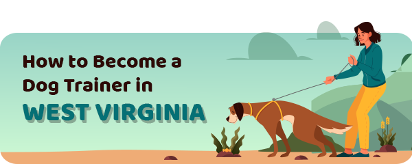 How to Become a Dog Trainer in West Virginia