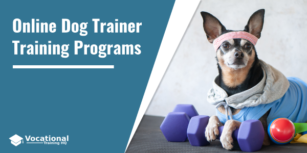 Online Dog Trainer Training Programs