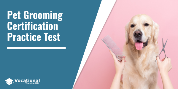 Pet Grooming Certification Practice Test