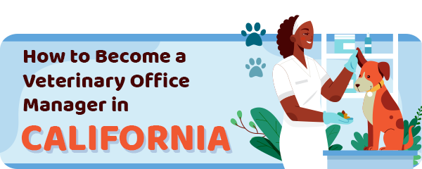 How to Become a Vet Office Manager in California