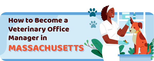 How to Become a Vet Office Manager in Massachusetts