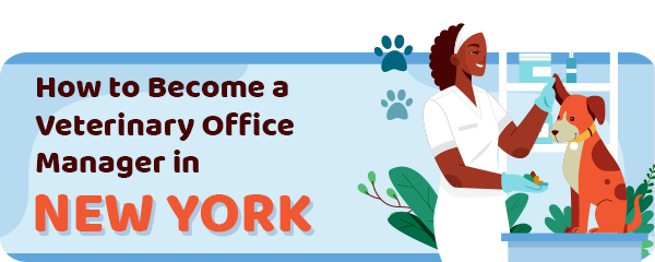 How to Become a Vet Office Manager in New York